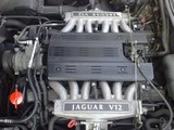 Jaguar xj12 v12 picture